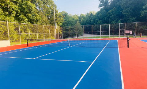 PTT WP Featured Image