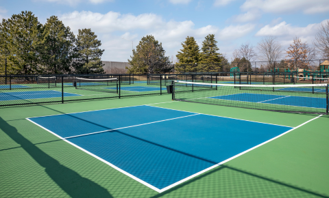 pickleball-court-ready-for-typti