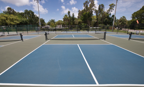 Ground-level view of blue pickleball courts with nets, palm trees and fencing in the background
